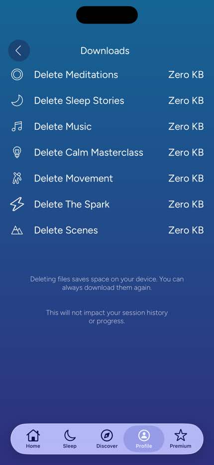 Settings — Storage & Downloads