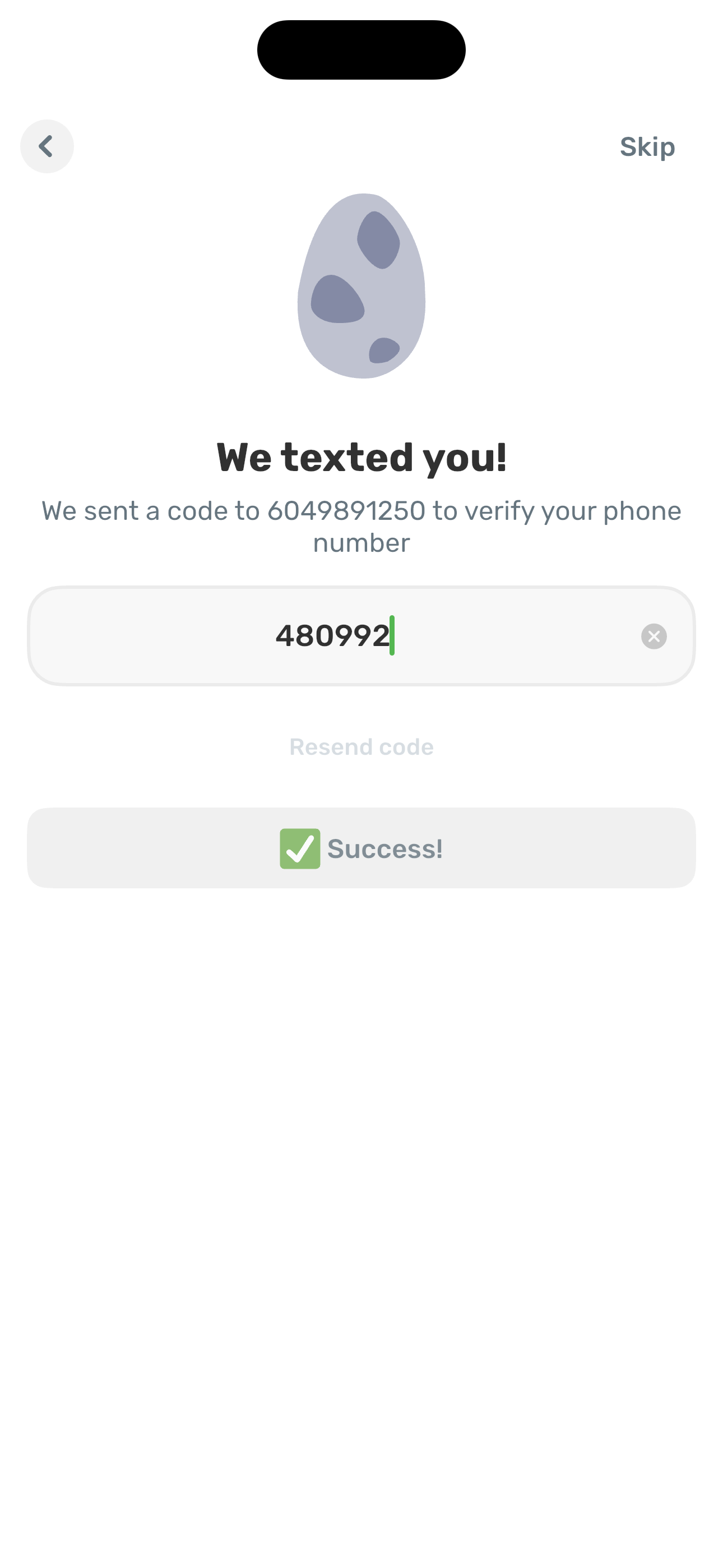 We texted you — code verified (Success)