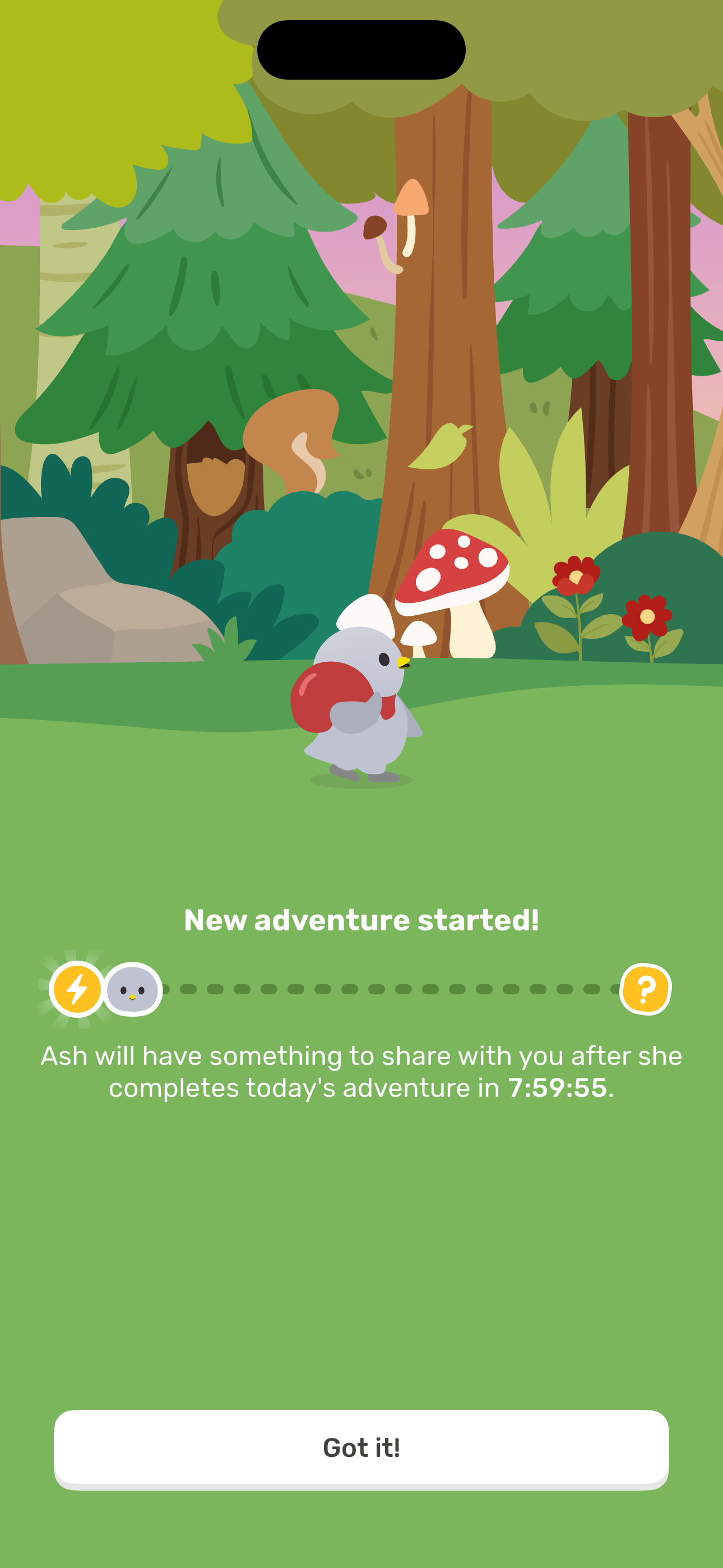 Adventure started — 8h timer