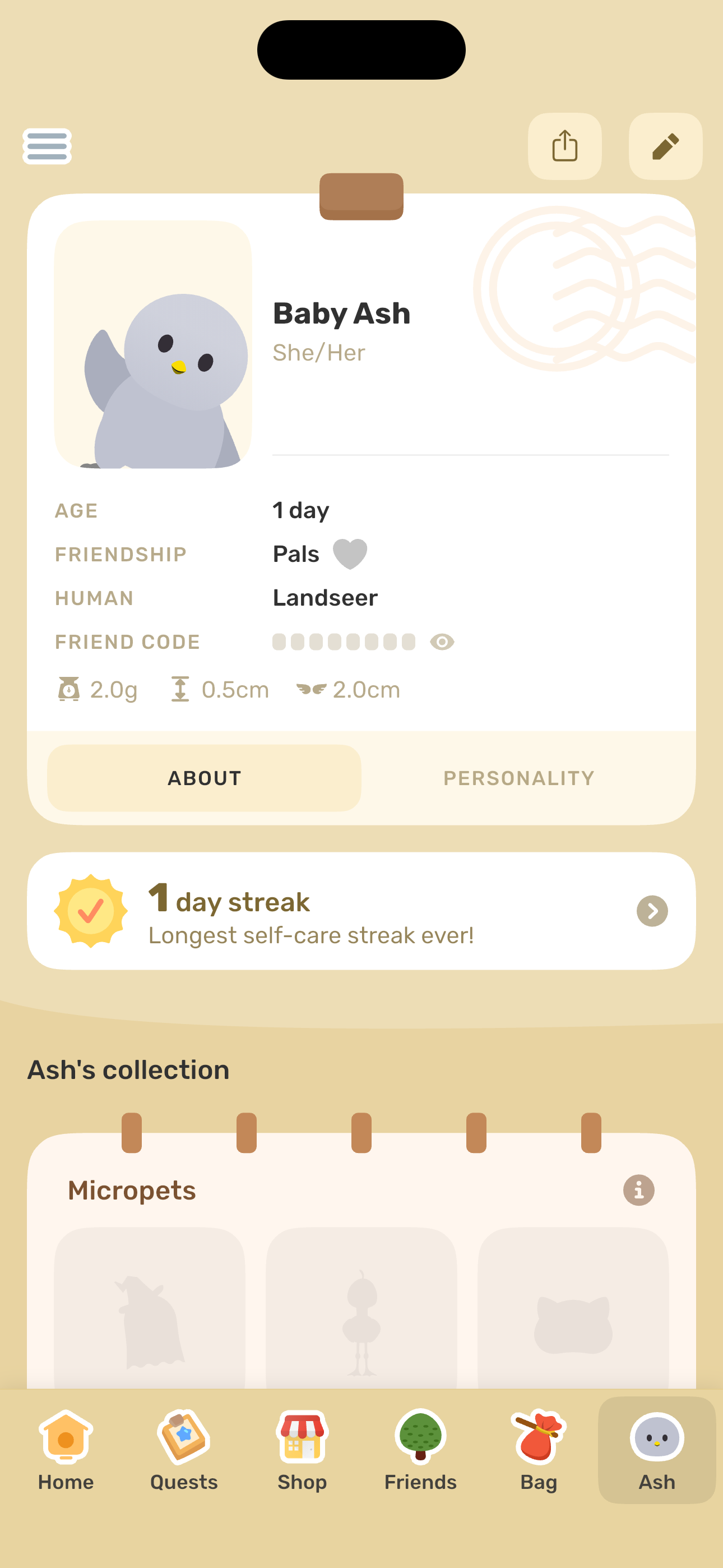 Ash — pet profile (About)