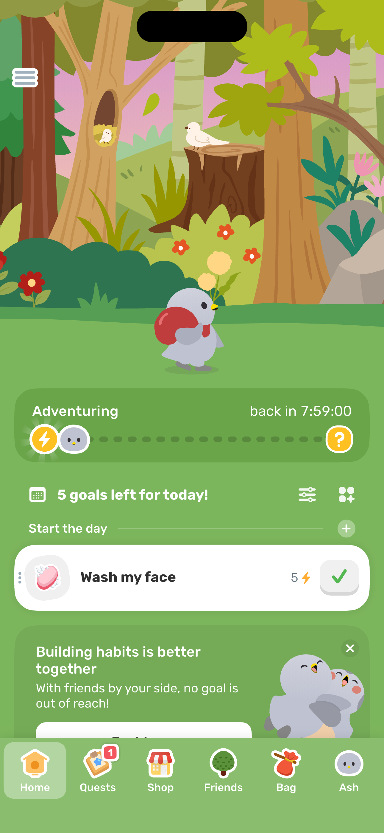 Home — with active adventure