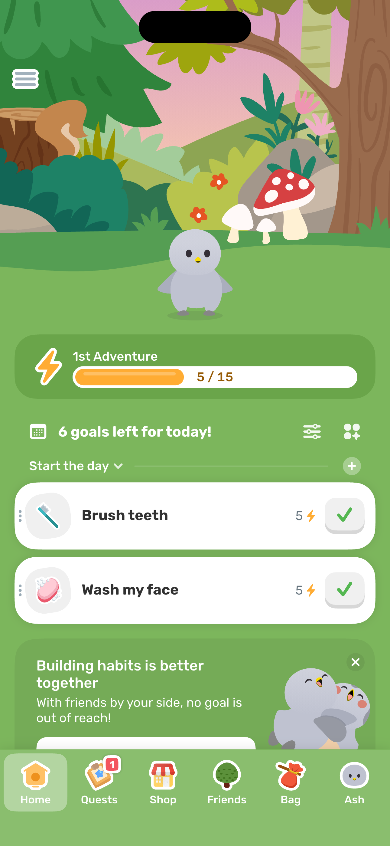 Home — after first goal completion