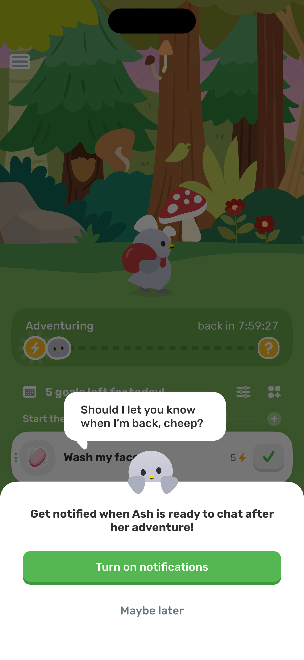 Notifications prompt (post-adventure)