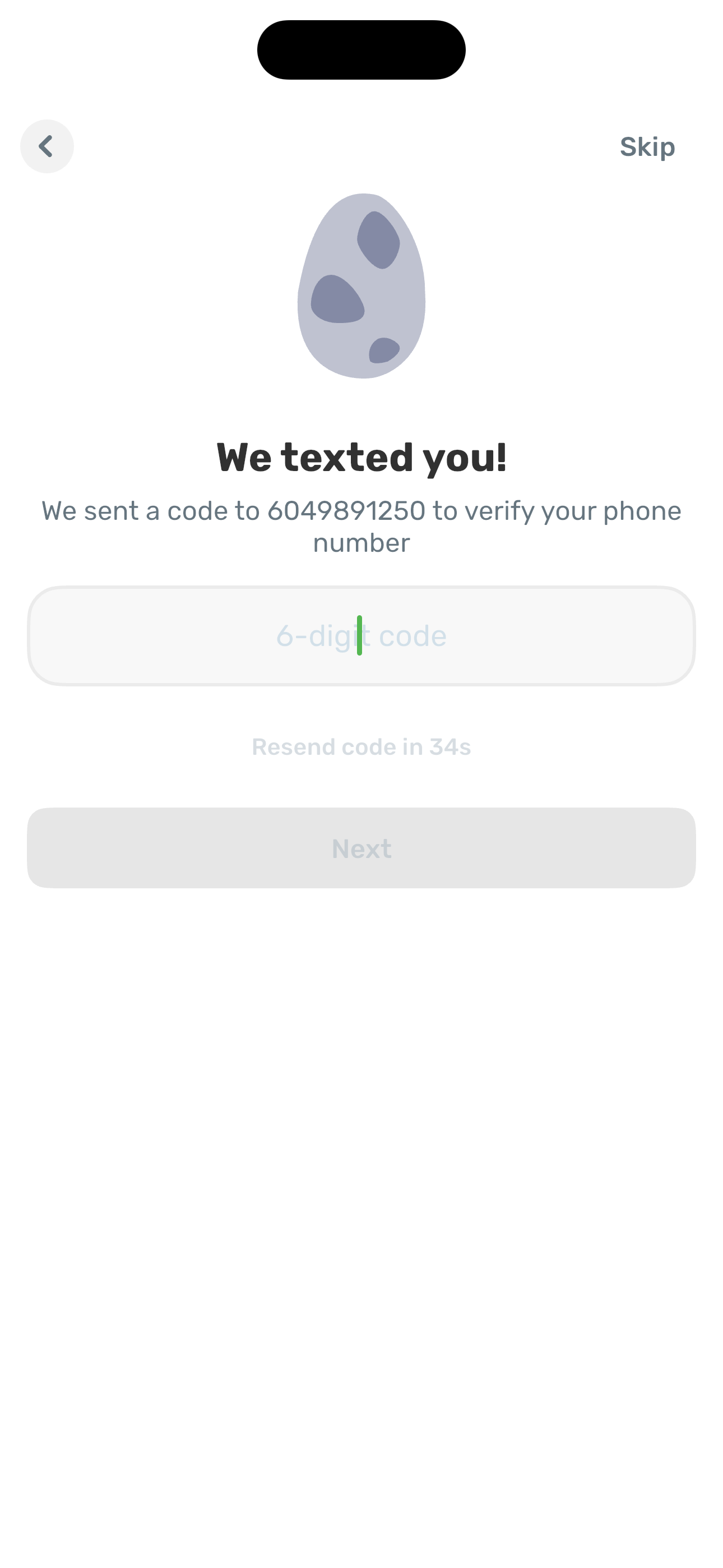 We texted you — SMS verification (6-digit)