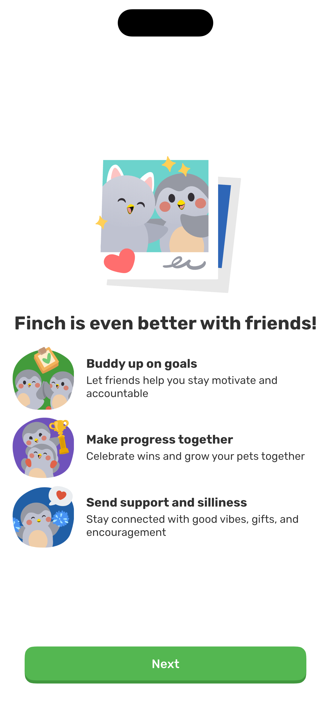 Buddies feature intro