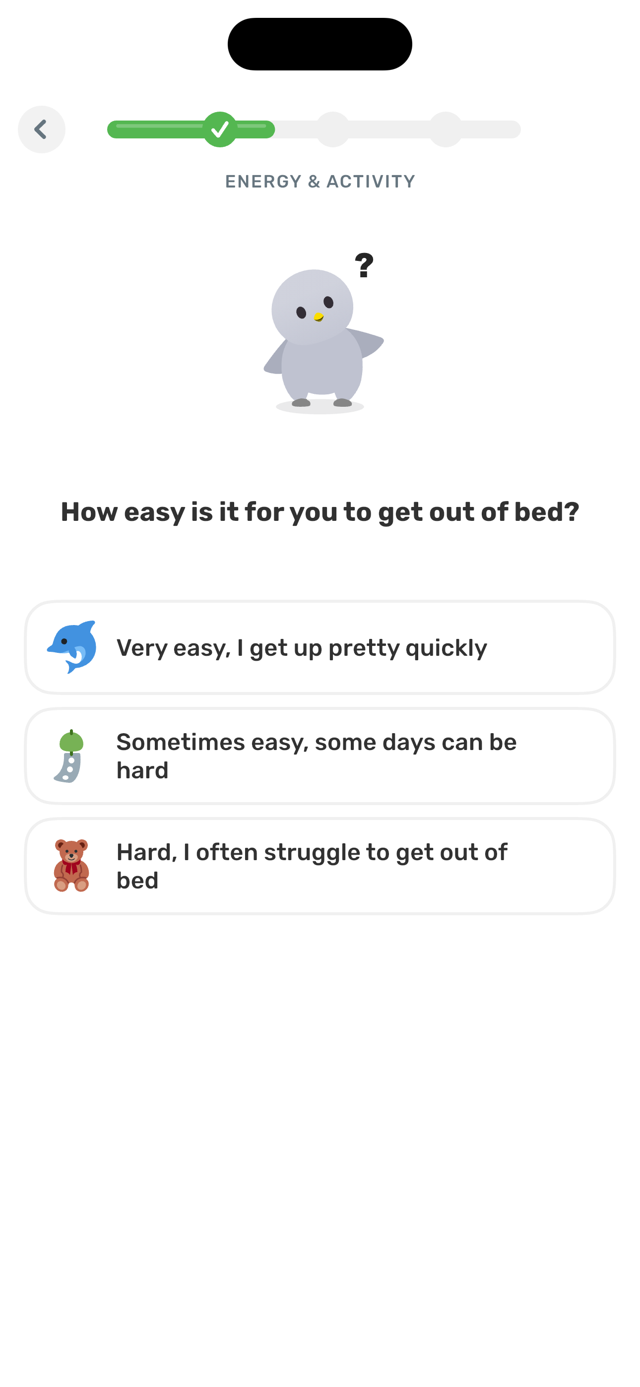 Energy & Activity — morning ease