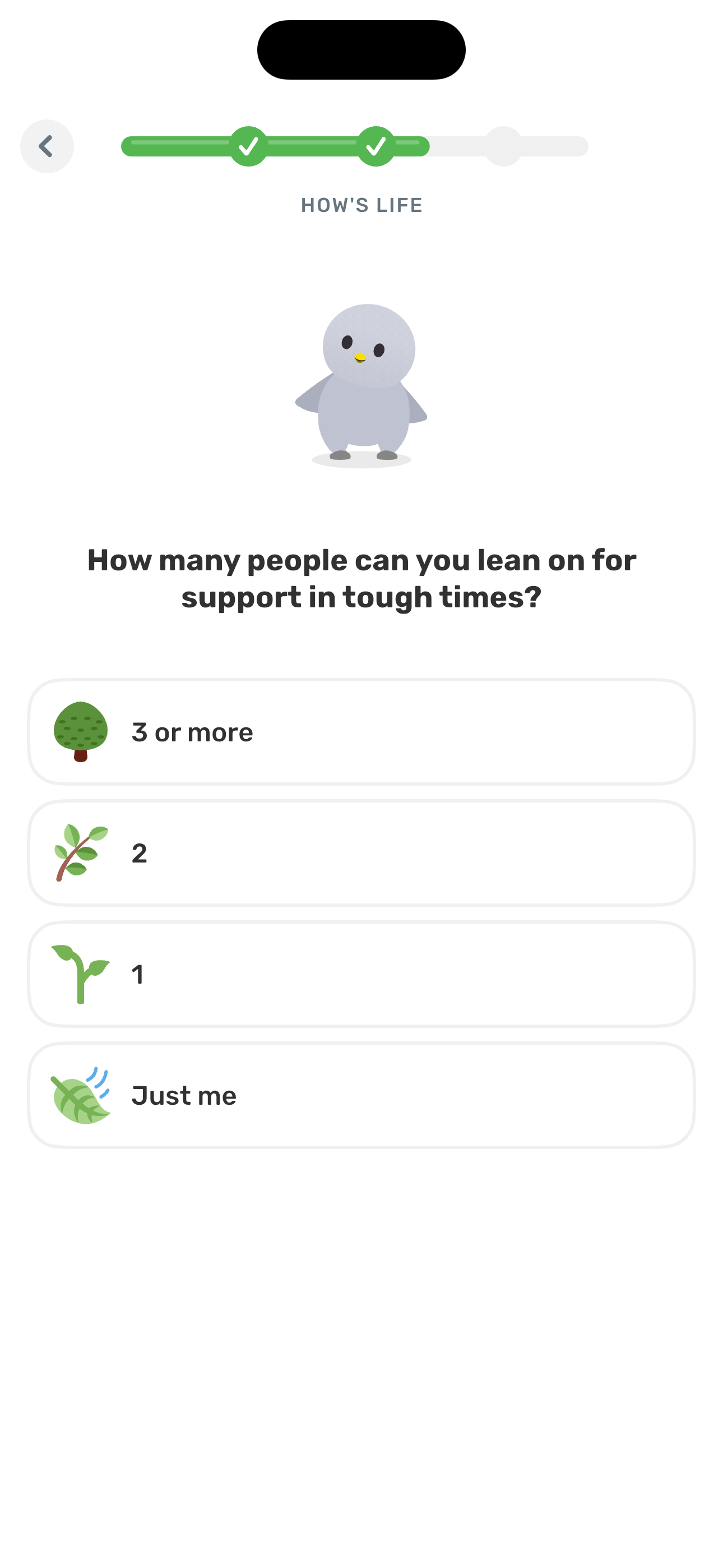 Hows Life — support network size