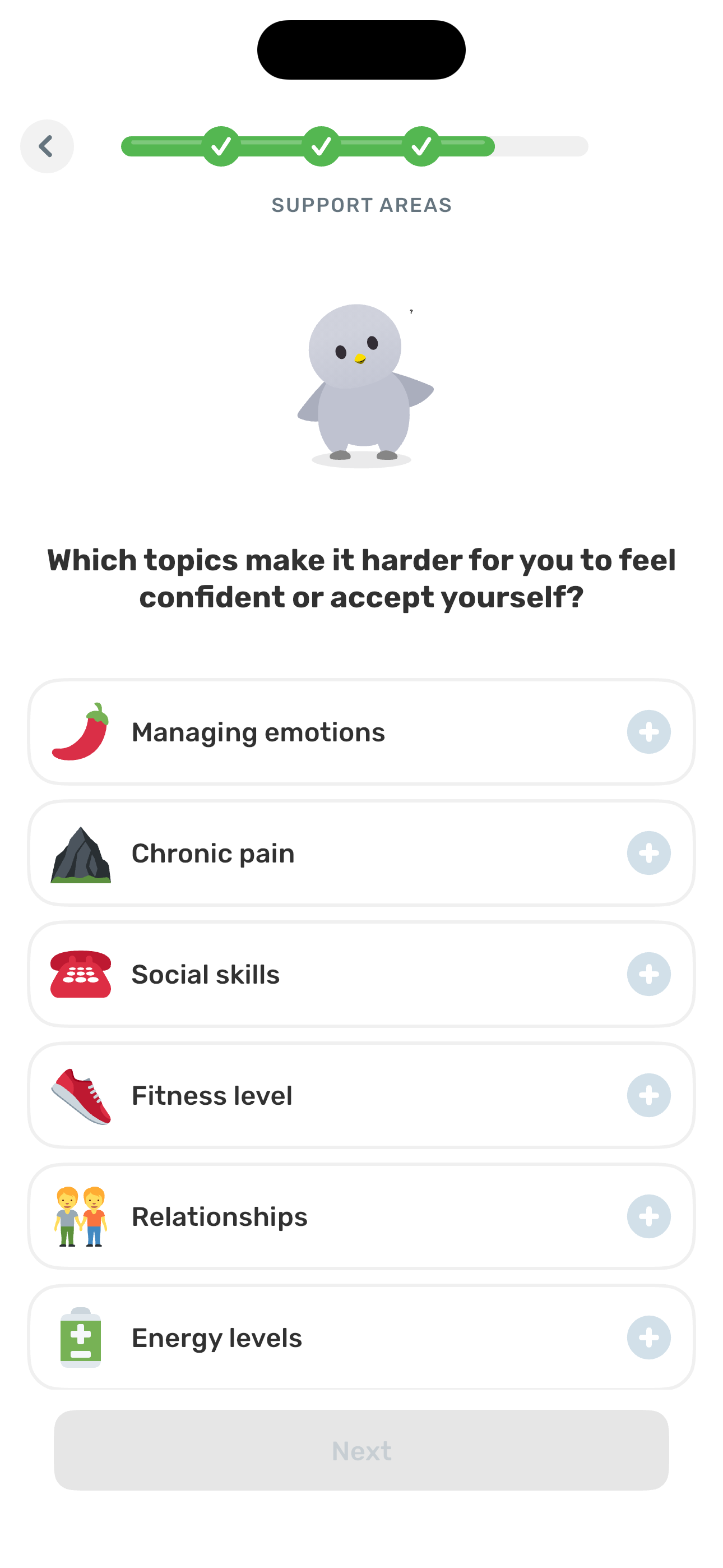 Support Areas — confidence pain points