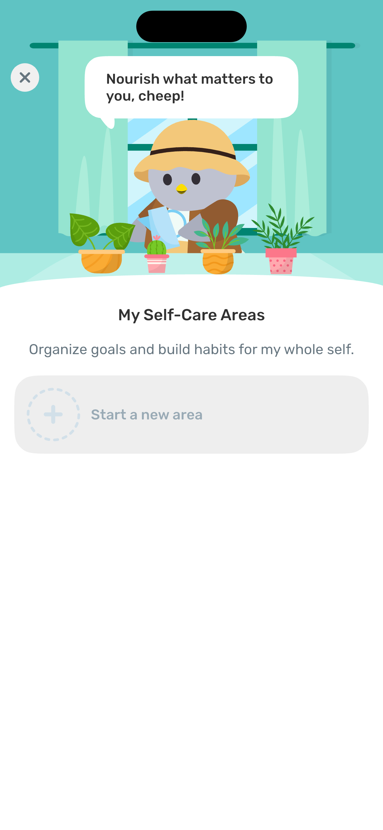 My Self-Care Areas — empty state