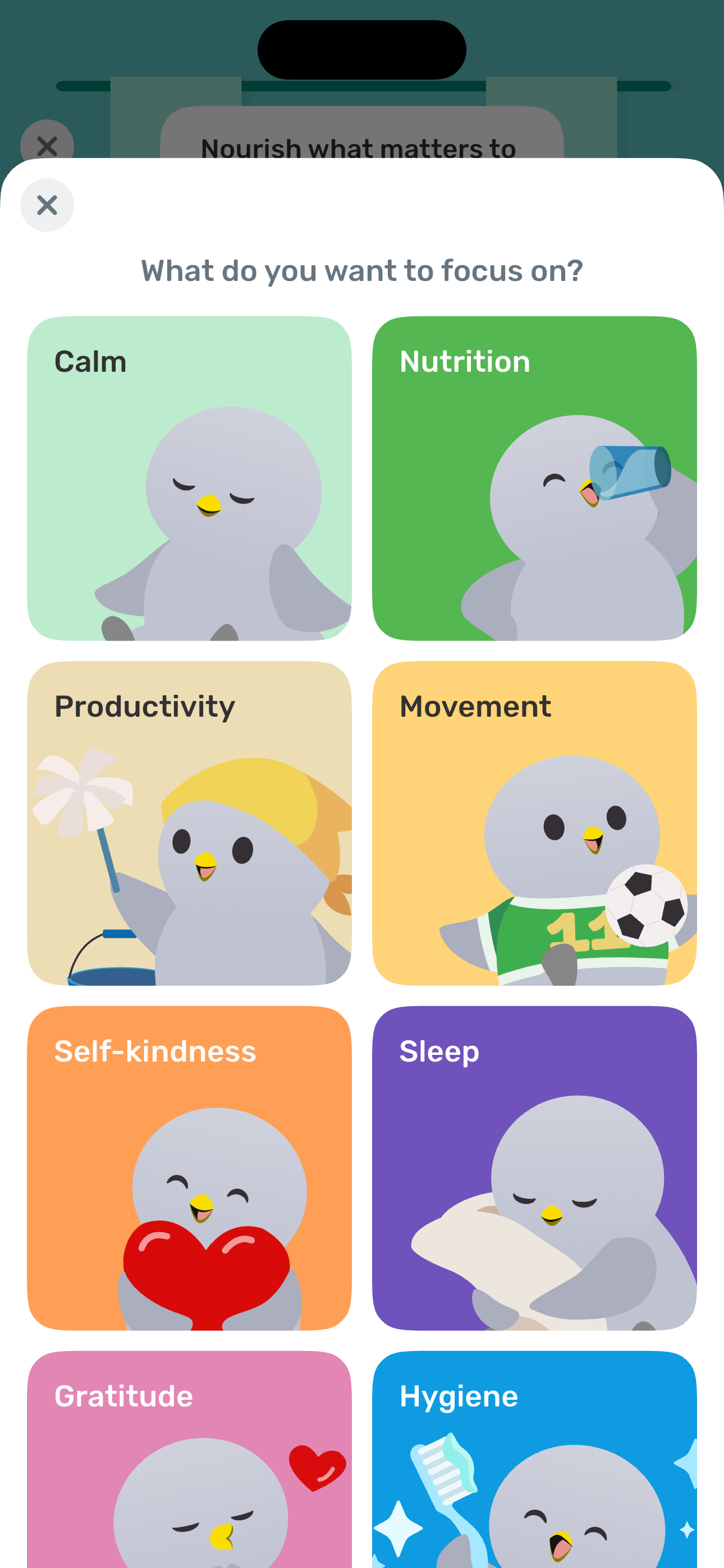Self-care area — template picker